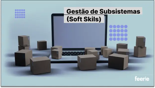 Gestão de Subsistemas(Soft Skils)